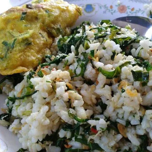 Makanan Khas Wonosobo Nasi Megono