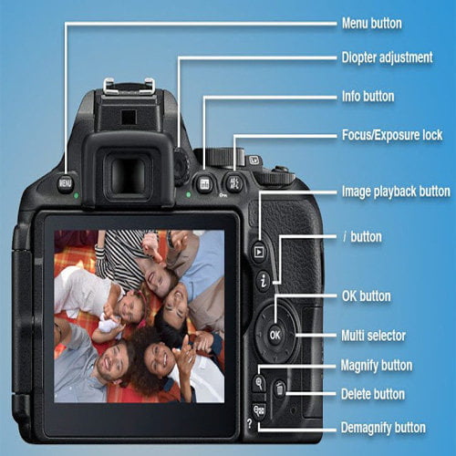 Fotografi Makro Gunakanlah Fungsi Diopter Pada Kamera Anda Untuk Membuat Lensa Fokus Lebih Dekat 