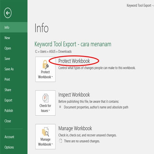 Cara mengunci file excel 