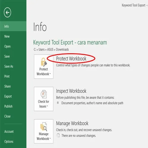 Cara mengunci file excel