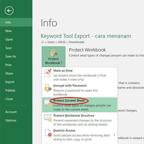 Cara mengunci file excel 