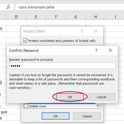 Cara mengunci file excel 