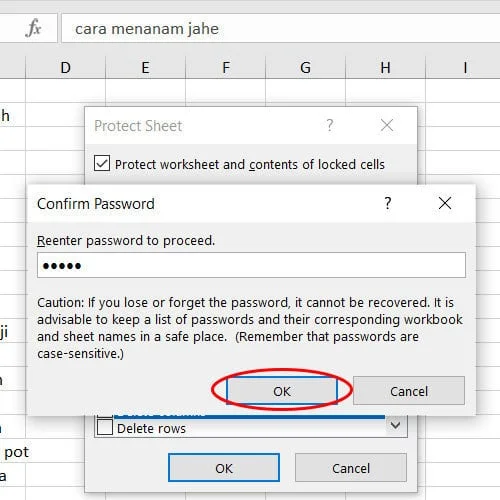 Cara mengunci file excel