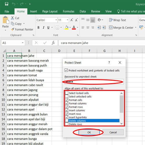 Cara mengunci file excel 