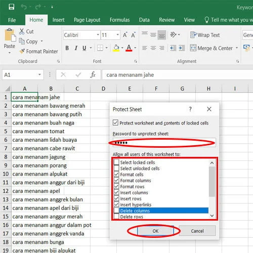 Cara mengunci file excel
