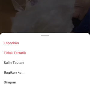 cara download video igtv