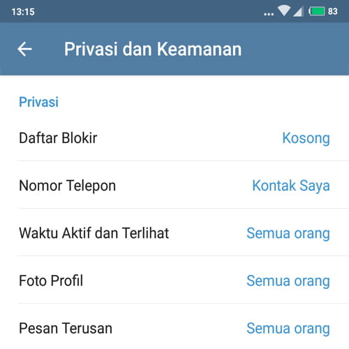 cara agar tidak terlihat online di telegram