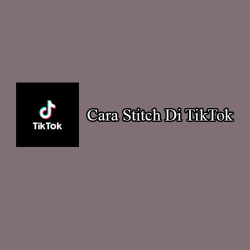 Cara Stitch Di TikTok