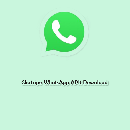 Chatripe WhatsApp APK Download