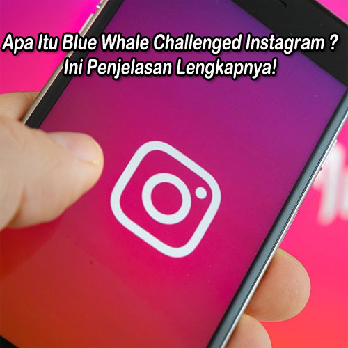 Apa Itu Blue Whale Challenged Instagram