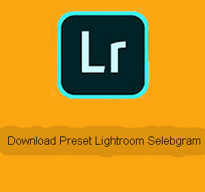 Download Preset Lightroom Selebgram