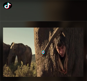 Gajah Viral di Tiktok: Ini Link Untuk Nonton Videonya!