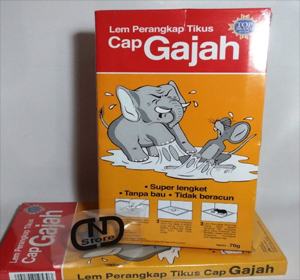 lem gajah viral tiktok