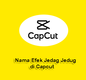 Nama Efek Jedag Jedug di Capcut