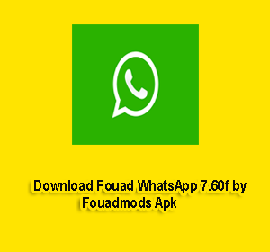 Download Fouad WhatsApp 7.60f by Fouadmods Apk