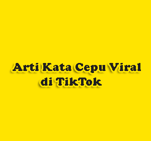 Arti Kata Cepu Viral di TikTok