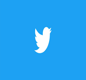 Download Video Twitter Apk