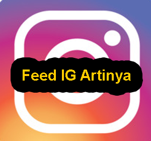 Feed IG Artinya