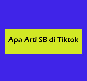 apa arti sb di tiktok