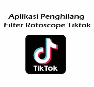 Aplikasi Penghilang Filter Rotoscope Tiktok