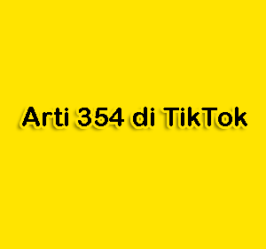 arti 354 di tiktok