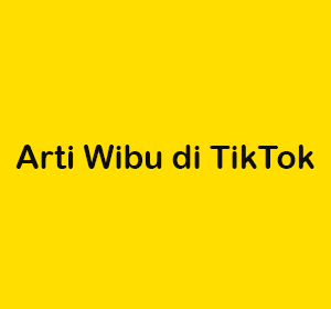 arti wibu di tiktok