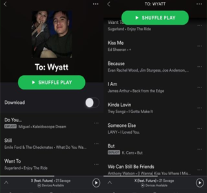 rekomendasi nama playlist spotify indonesia dan inggris