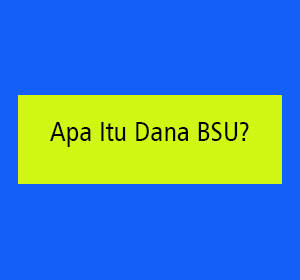 apa itu dana bsu