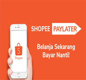 Kenapa Limit Shopee Paylater Hanya 100 Ribu