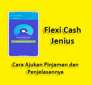 flexi cash jenius