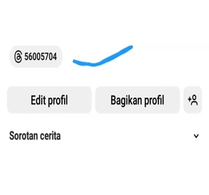 Cara Menampilkan Threads di Bio Instagram 