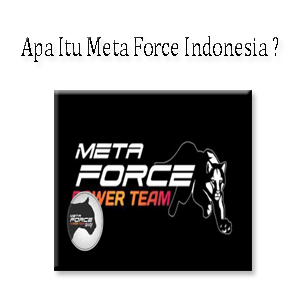 Apa Itu Meta Force Indonesia