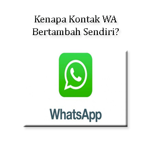 Kenapa Kontak WA Bertambah Sendiri