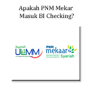 Apakah PNM Mekar Masuk BI Checking