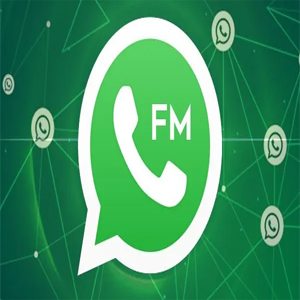 Cara Mengaktifkan Pengaturan Privasi Tingkat Lanjut di FM WhatsApp